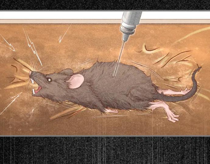 复仇要冷冷端上 - 第359话 正常 - 第4张图