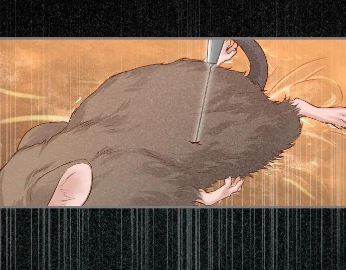 复仇要冷冷端上 - 第359话 正常 - 第2张图