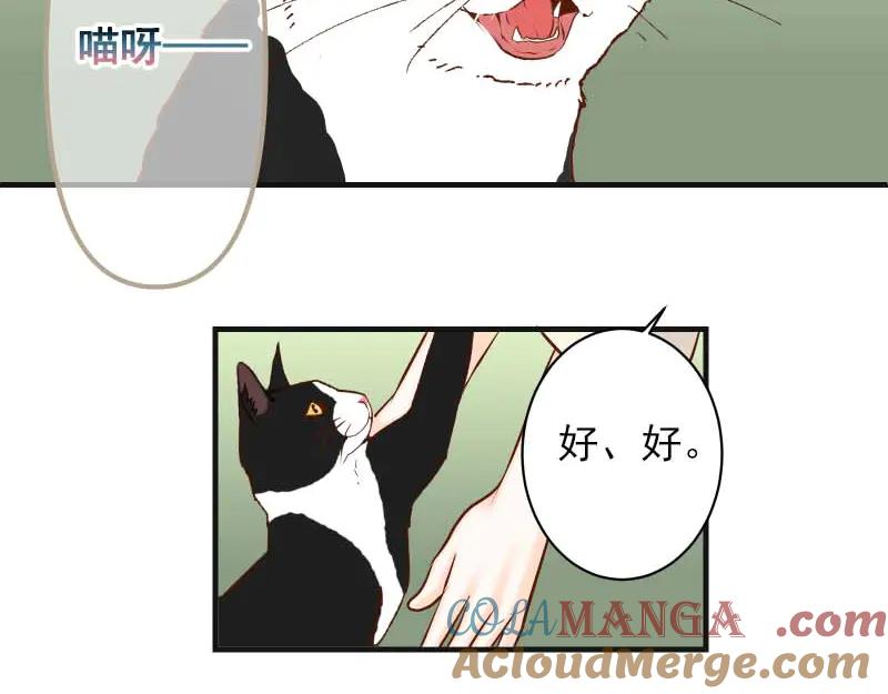 复仇要冷冷端上 - 第400话 忠犬 - 第93张图