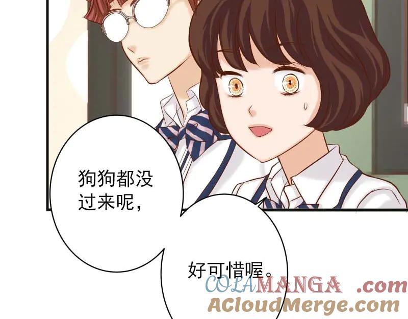 复仇要冷冷端上 - 第400话 忠犬 - 第65张图