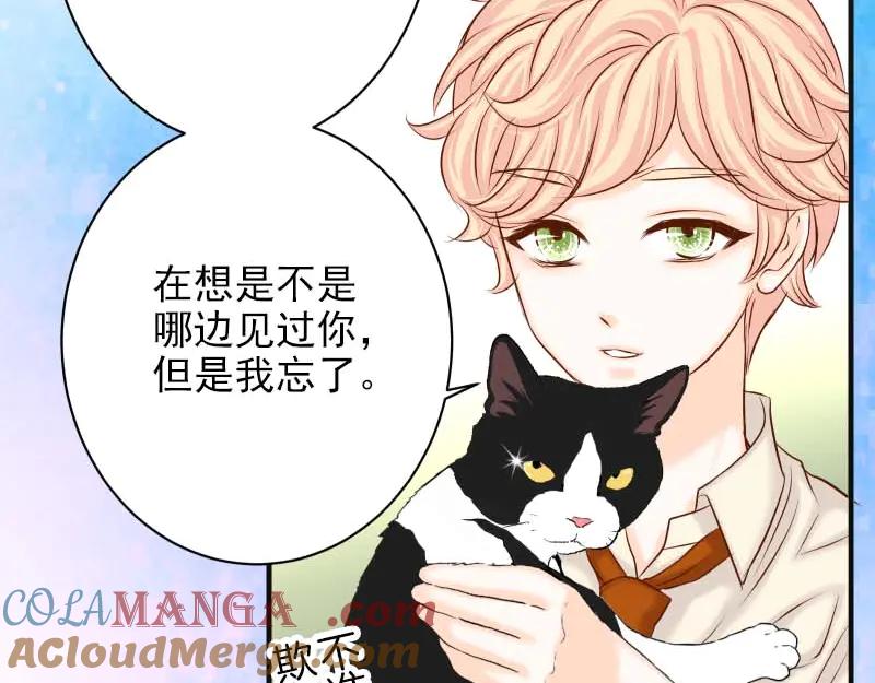 复仇要冷冷端上 - 第400话 忠犬 - 第97张图