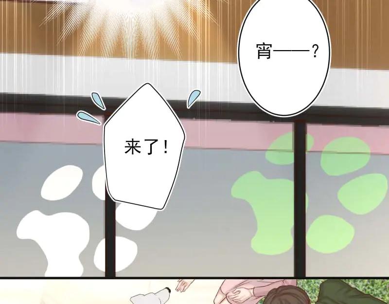 复仇要冷冷端上 - 第400话 忠犬 - 第72张图