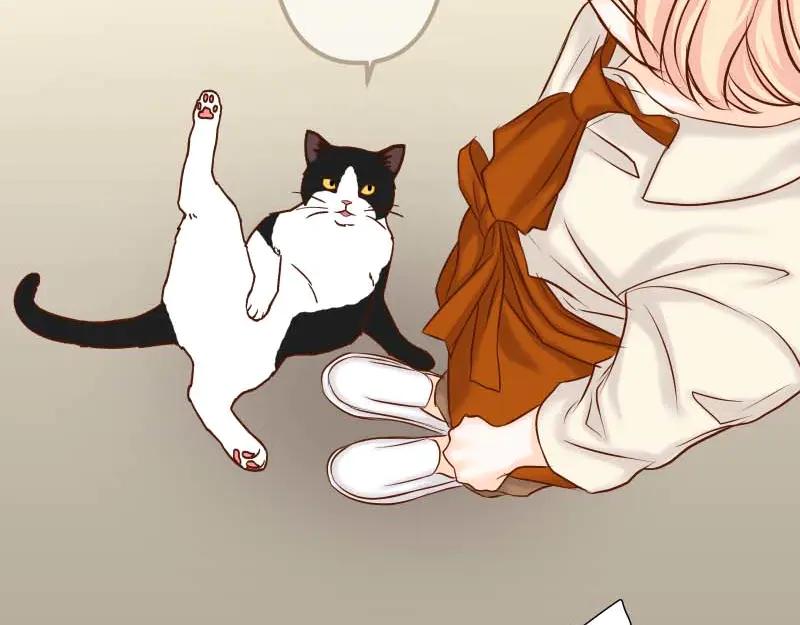 复仇要冷冷端上 - 第400话 主动 - 第90张图