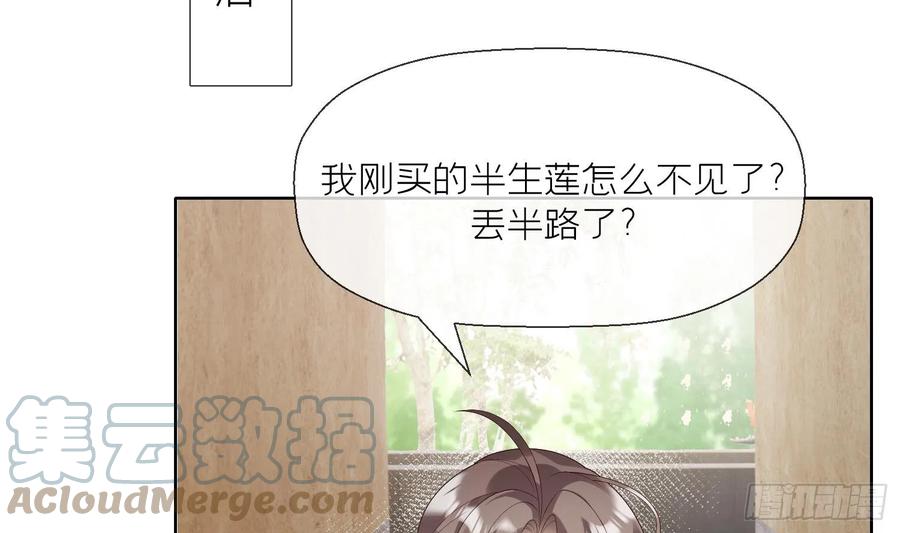 腹黑花妖买一送一 第7话 想要代价？ 第13页