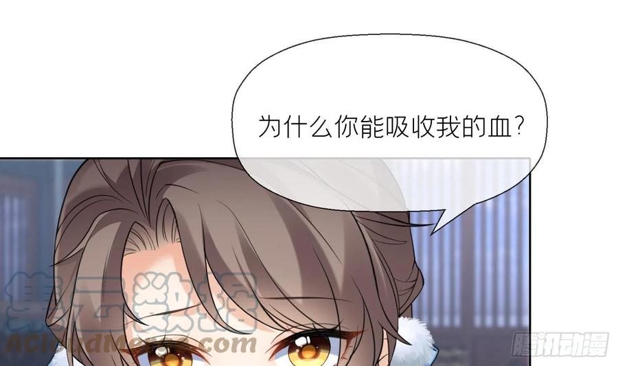 腹黑花妖买一送一 第12话 温柔的溪客尊主 第4页