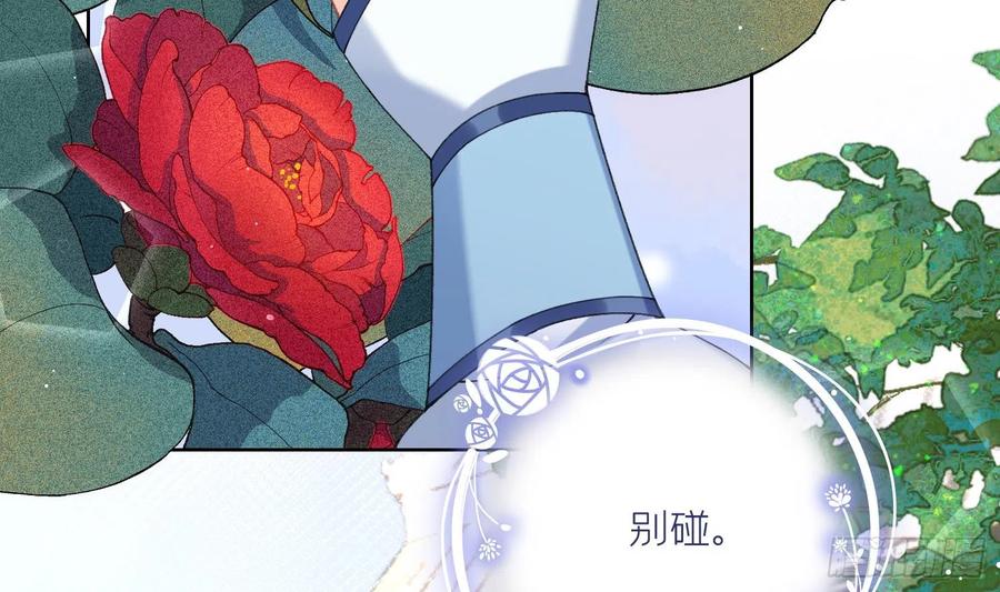 腹黑花妖买一送一 第17话 女装大佬？ 第42页