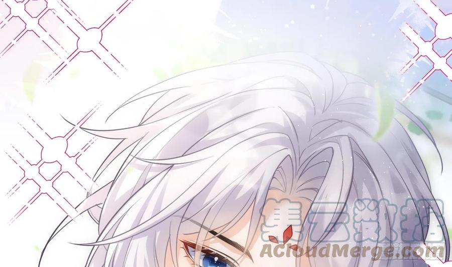 腹黑花妖买一送一 预告来啦 第13页