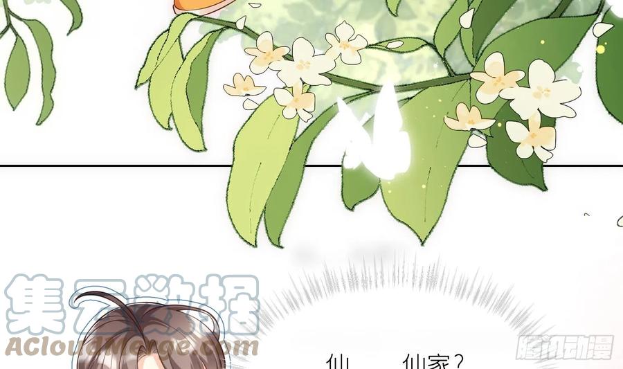 腹黑花妖买一送一 第1话 开局喜当妈 第49页