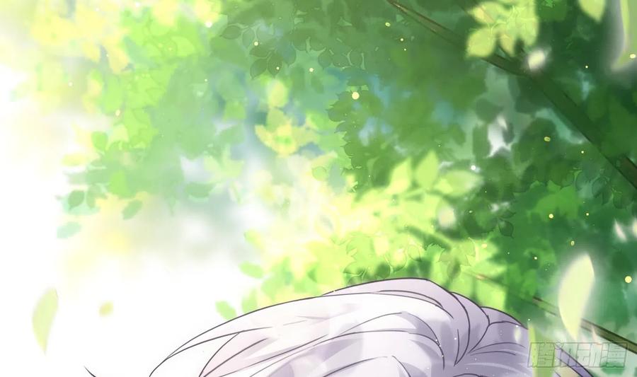 腹黑花妖买一送一 第1话 开局喜当妈 第98页