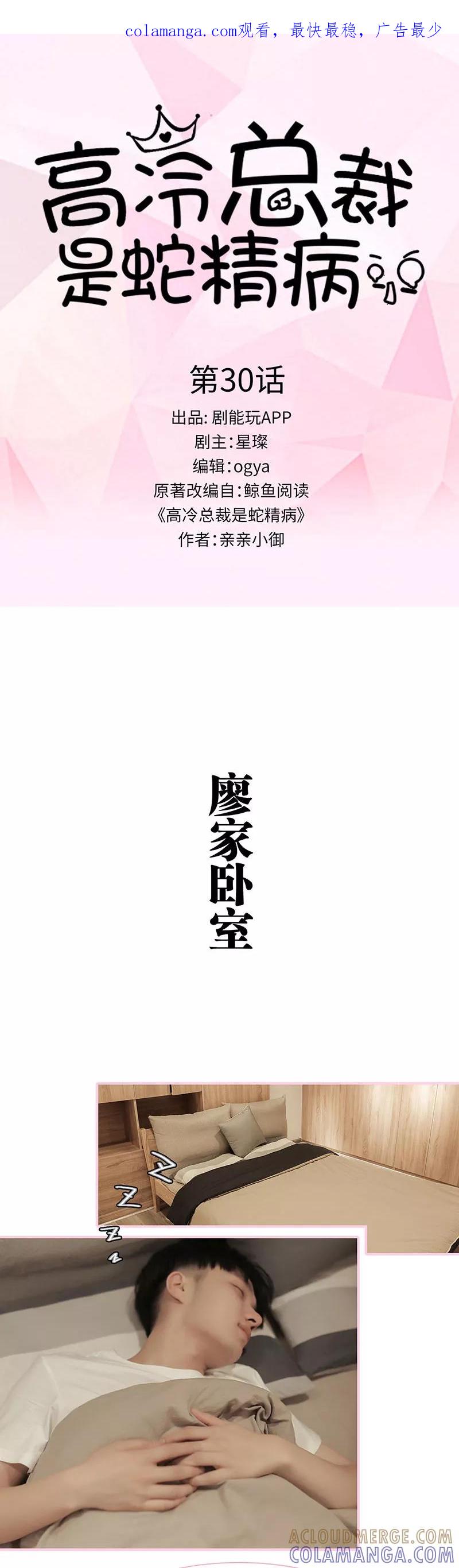 《高冷总裁是蛇精病》第30话 第1页
