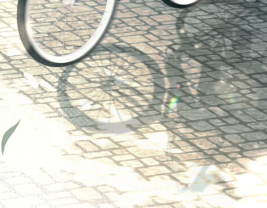 《附加遗产》第四话 舅舅 第24页