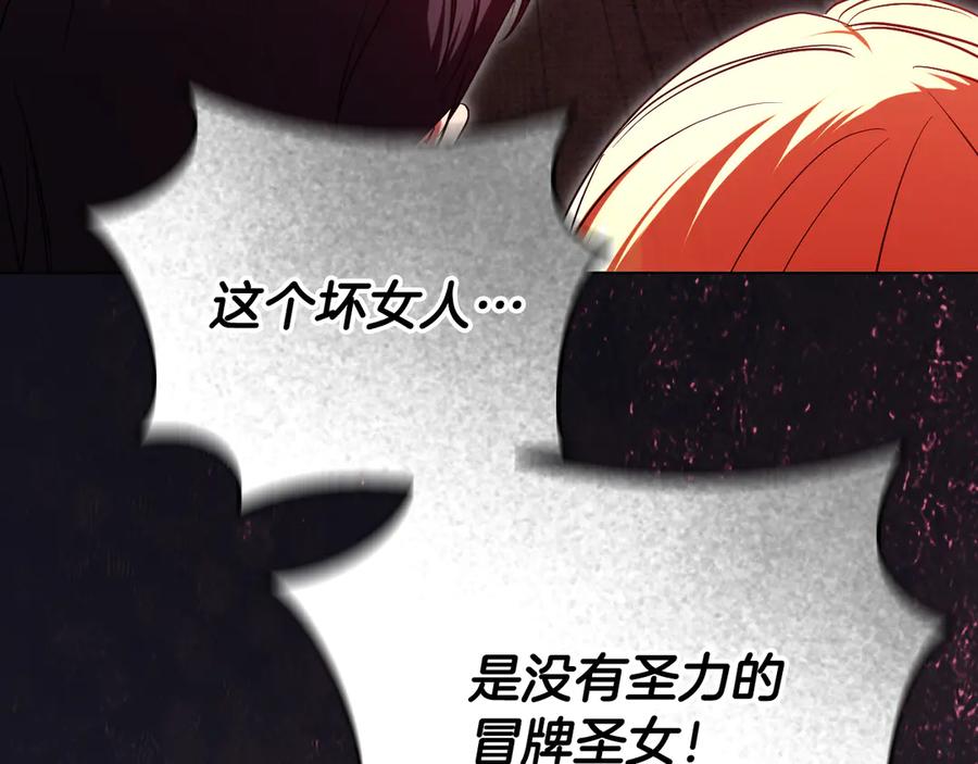 冒牌圣女等待离场 第61话 将计就计 第10页