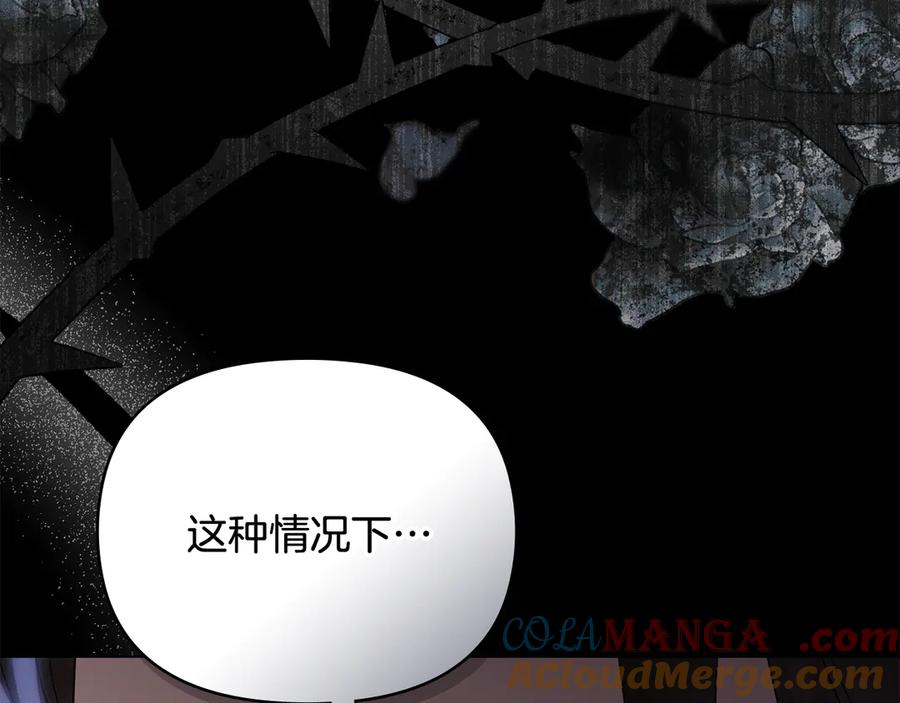 《公爵大人，请别太靠近》第124话 即将闹哄哄 第133页