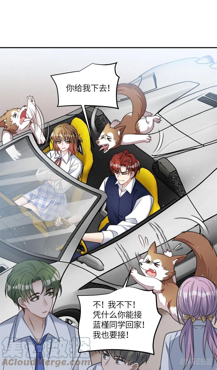 夫人她成了大佬们的团宠（团宠） - 74 我是母上大人的二哈！ - 第31张图