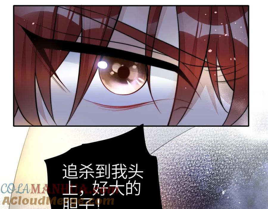 夫人她成了大佬们的团宠（团宠） - 131 秦隐被追杀 - 第33张图