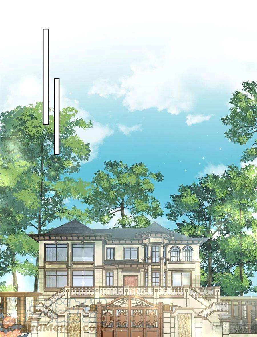 夫人她成了大佬们的团宠（团宠） - 02 爷的画风不对 - 第28张图