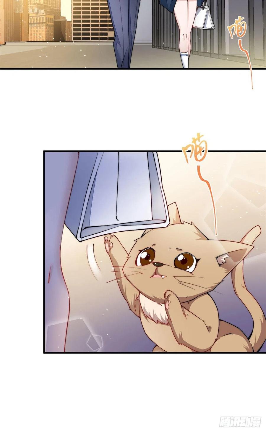 夫人她成了大佬们的团宠（团宠） - 35 想谈恋爱么 - 第28张图