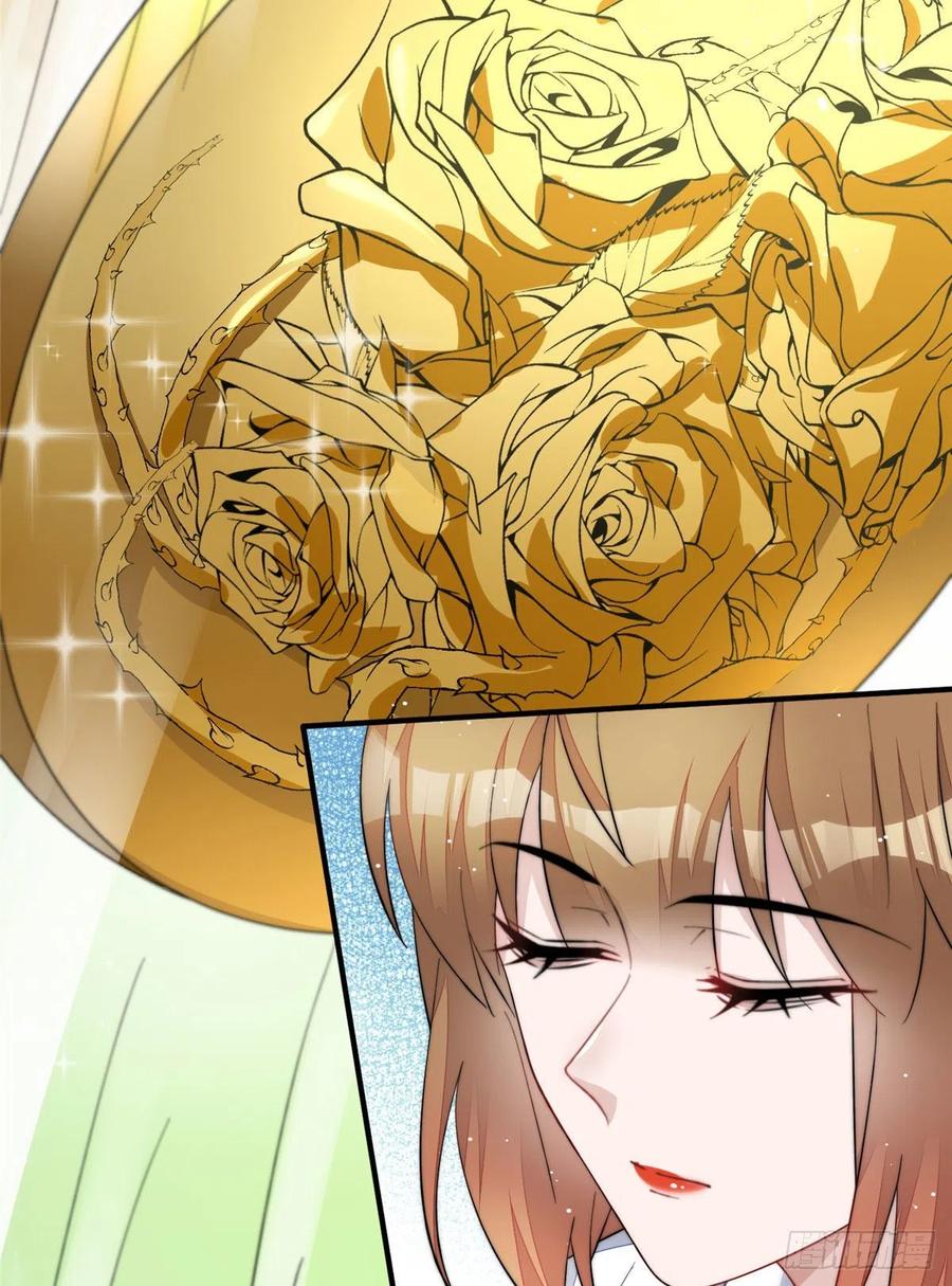 夫人她成了大佬们的团宠（团宠） - 47 高手已就位 - 第35张图