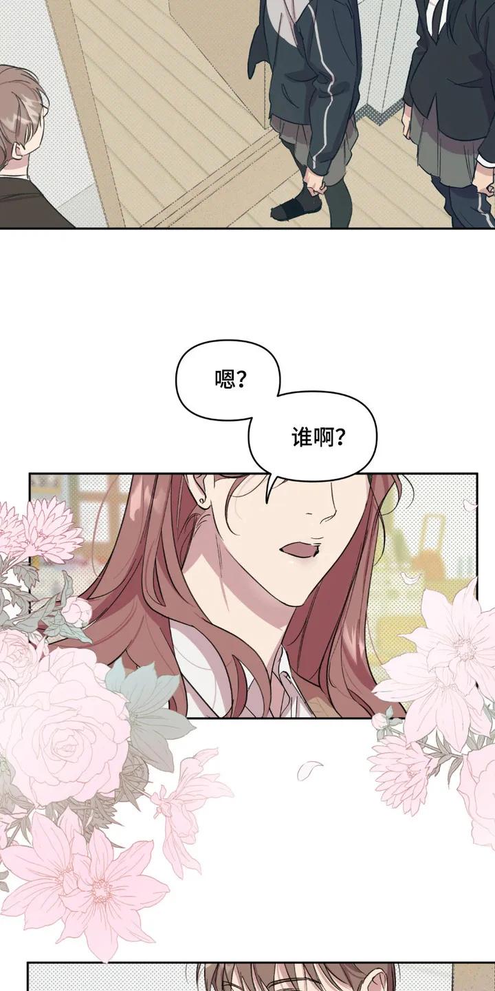 《寻找主人公》第13章：小美人 第4页