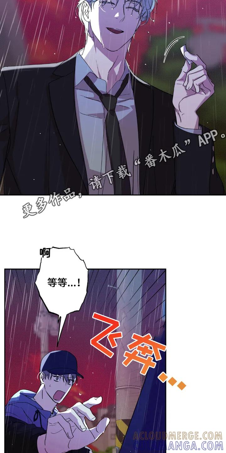 《寻找主人公》第15章：令人震撼 第11页