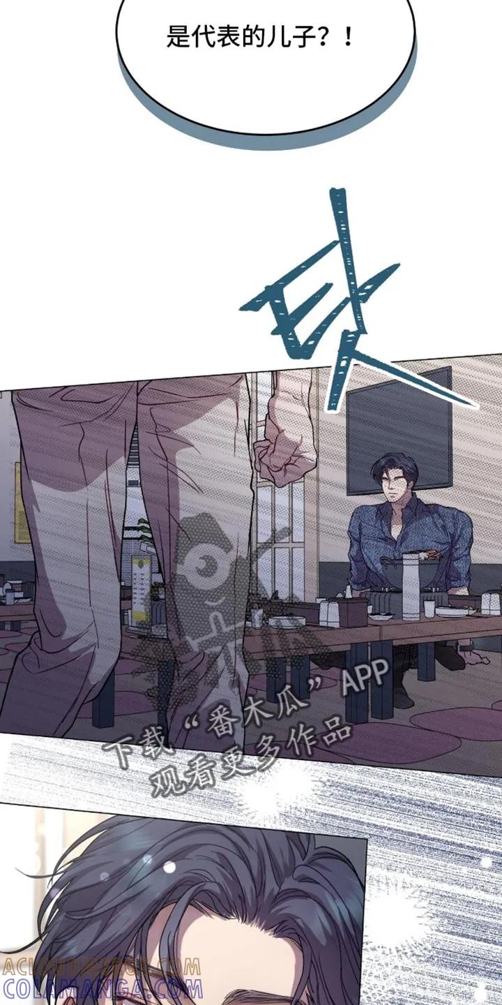 《虚情假意》第174章：【番外】代表的儿子 第17页