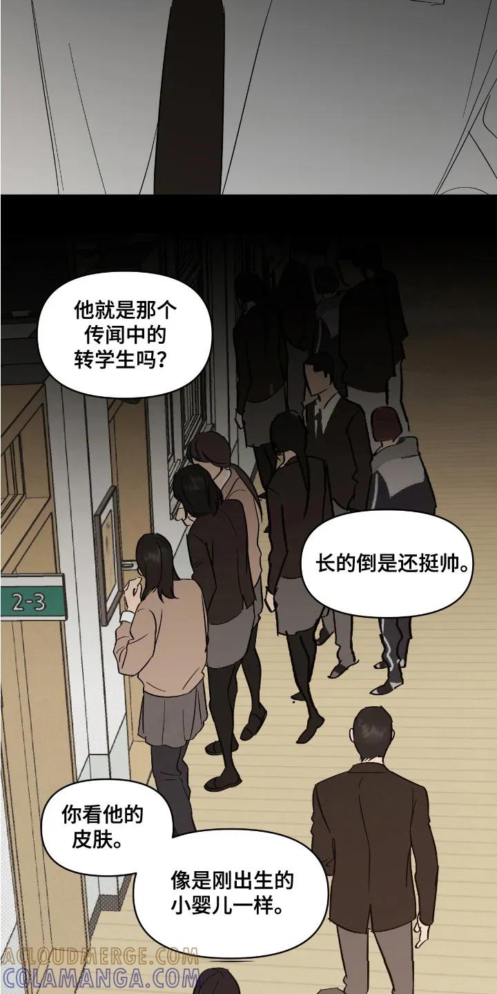 《寻找主人公》第19章：忘不掉 第13页