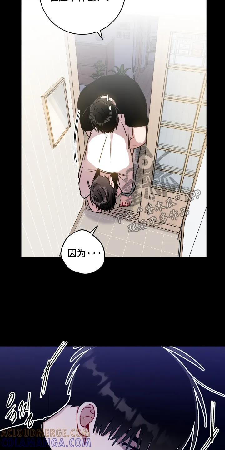 《复生之缘》第201章：去哪里了 第13页