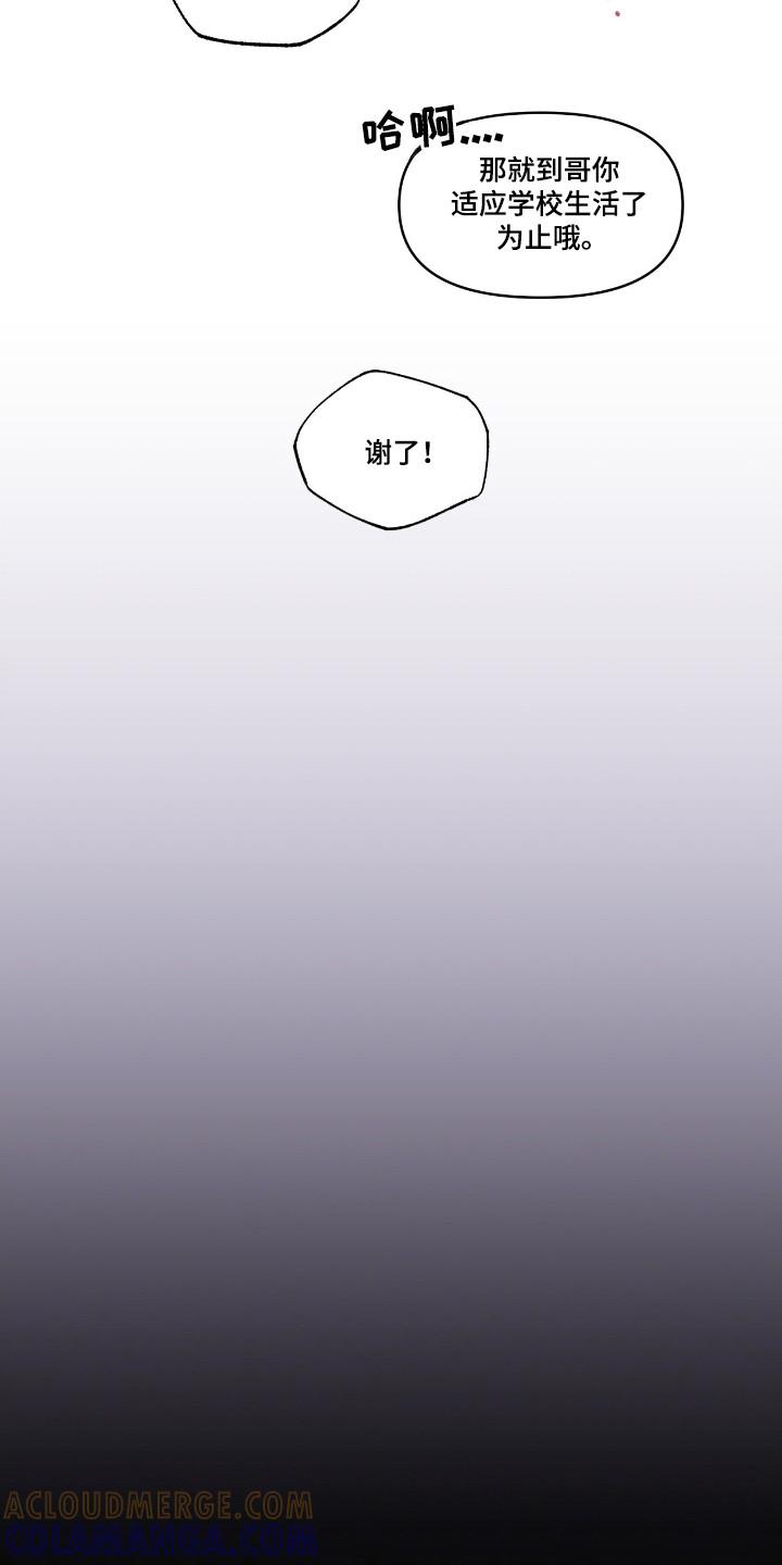 《寻找主人公》第25章：想的太多 第13页