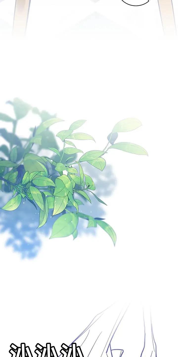 《复生之缘》第29章：有必要试一试 第16页