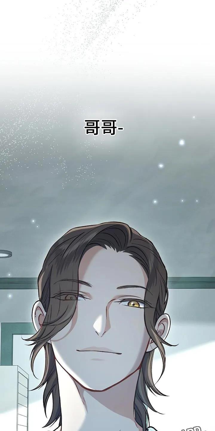《快穿救赎》第32章：哥哥 第28页