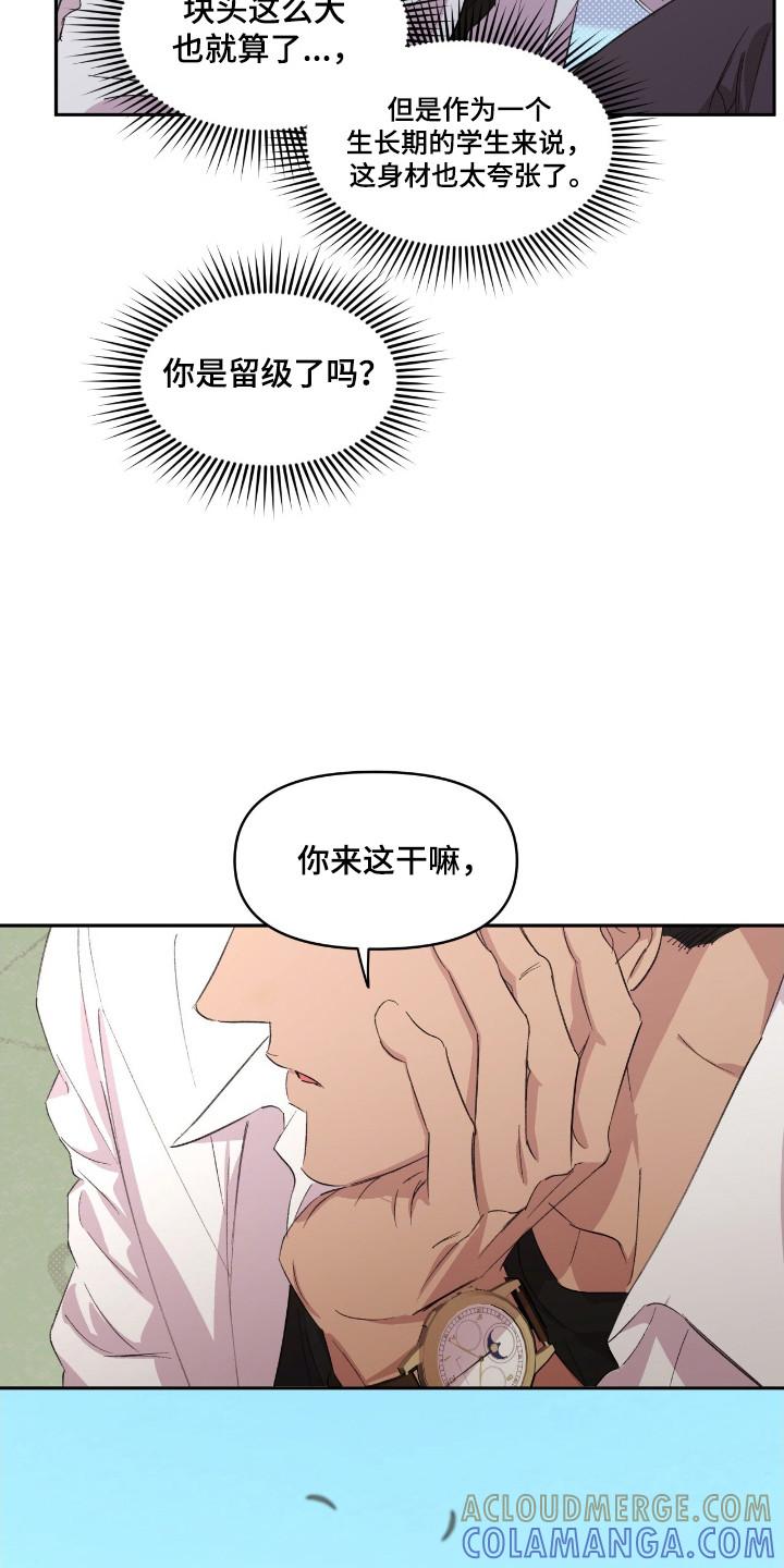 《寻找主人公》第36章：明知故问 第17页