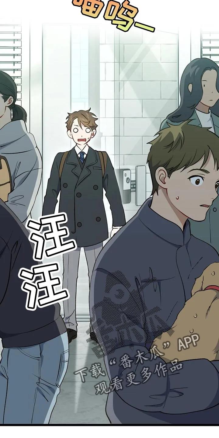 《快穿救赎》第37章：你回家吧 第2页