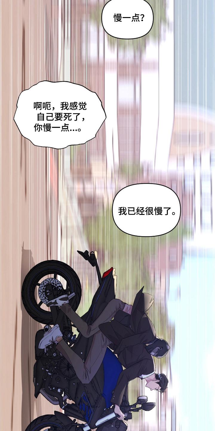 《寻找主人公》第38章：赌约成功 第8页