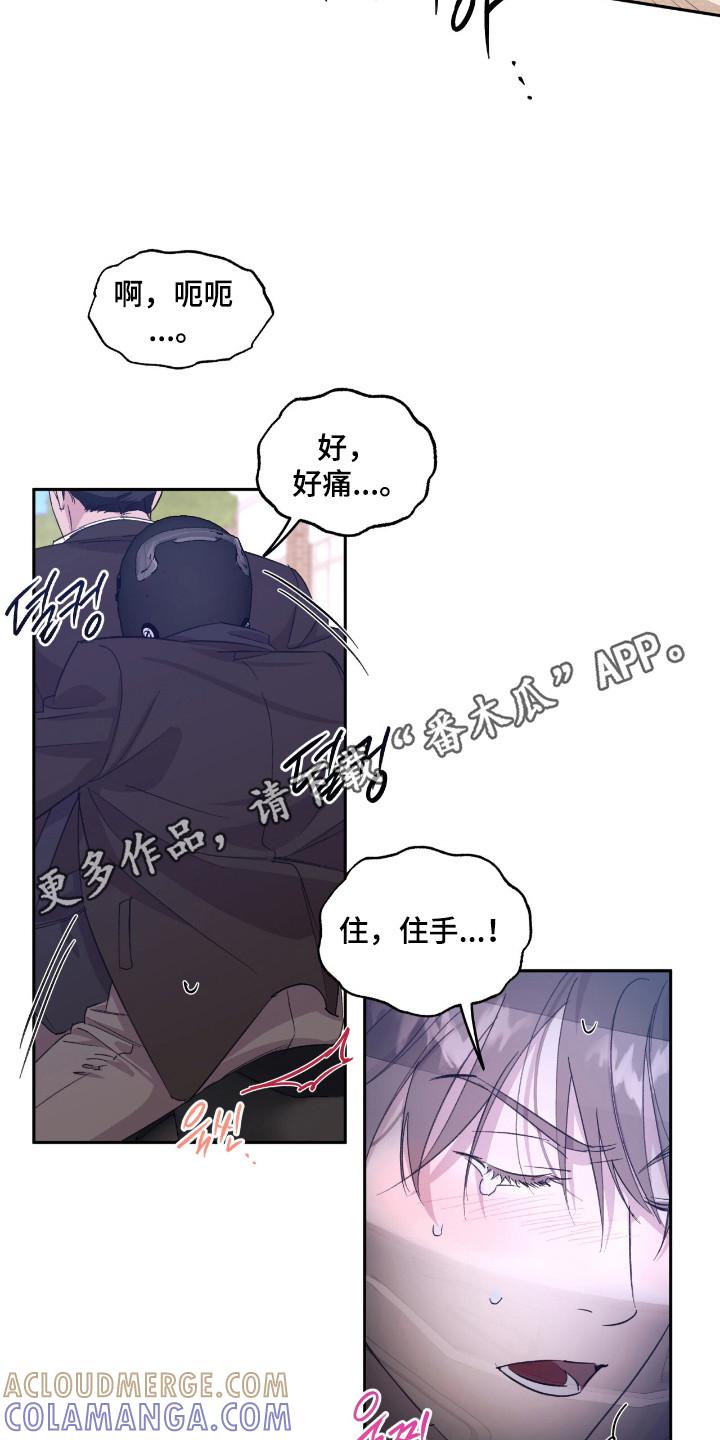 《寻找主人公》第38章：赌约成功 第15页