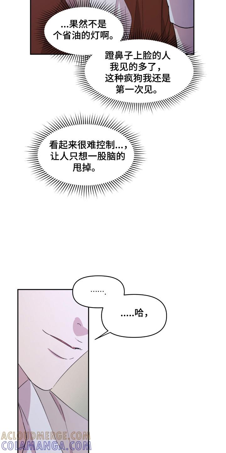 《寻找主人公》第43章：完美的人 第9页