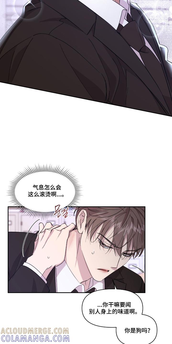 《寻找主人公》第46章：就像霸凌 第11页