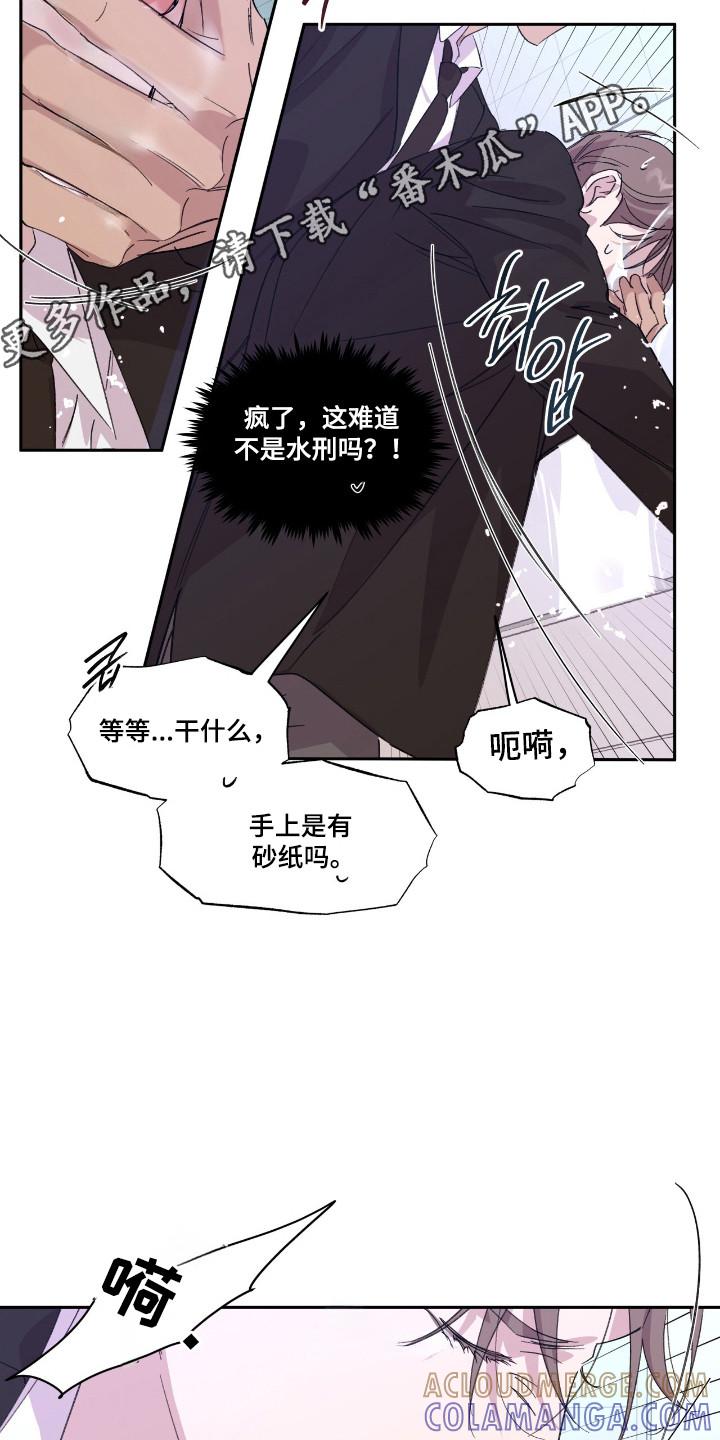 《寻找主人公》第48章：耀眼存在 第15页