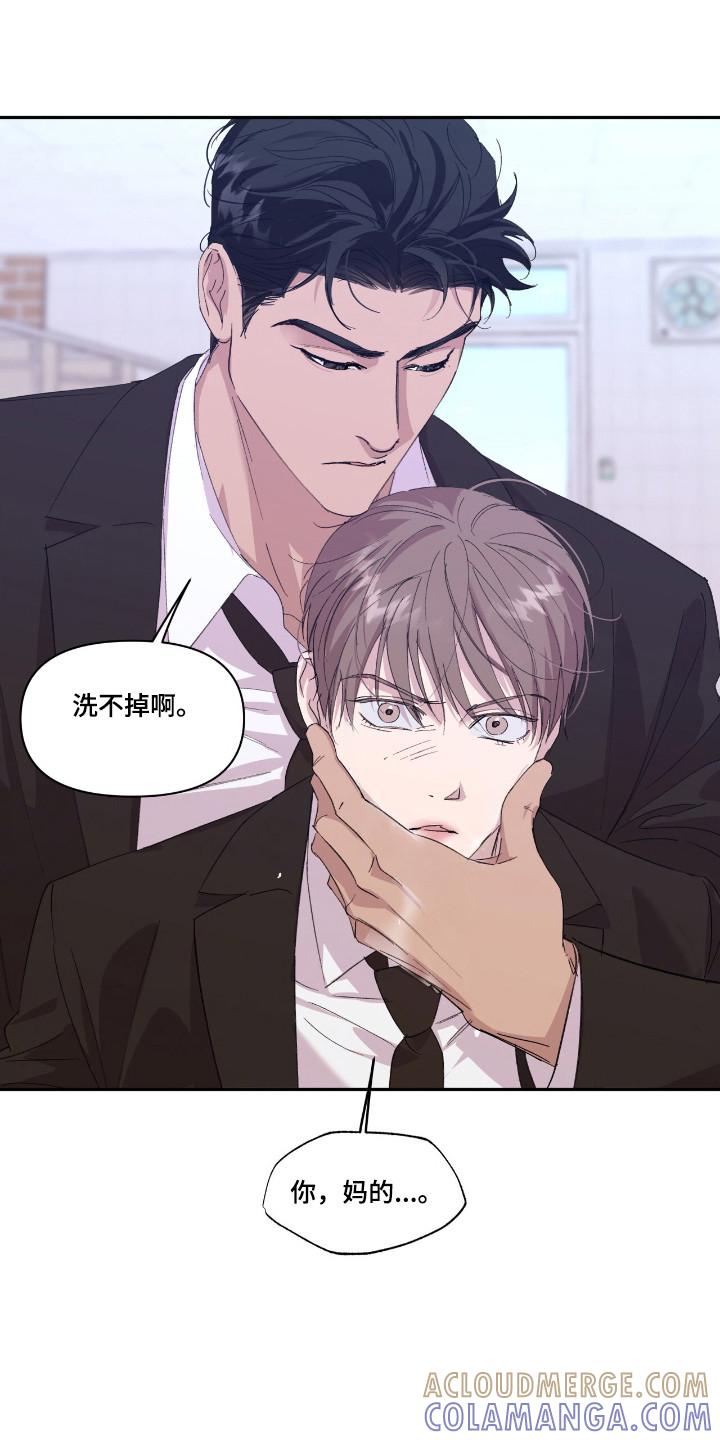《寻找主人公》第48章：耀眼存在 第17页