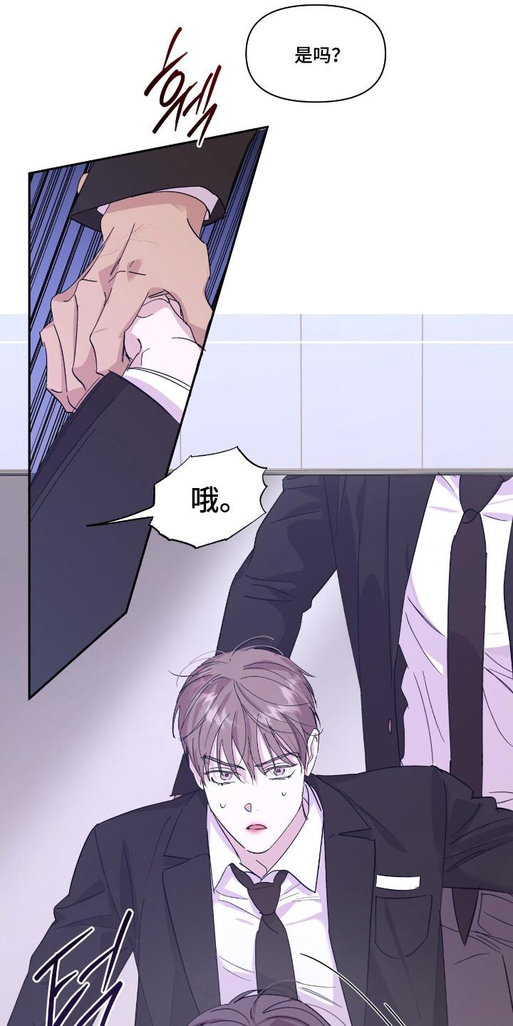《寻找主人公》第48章：耀眼存在 第12页
