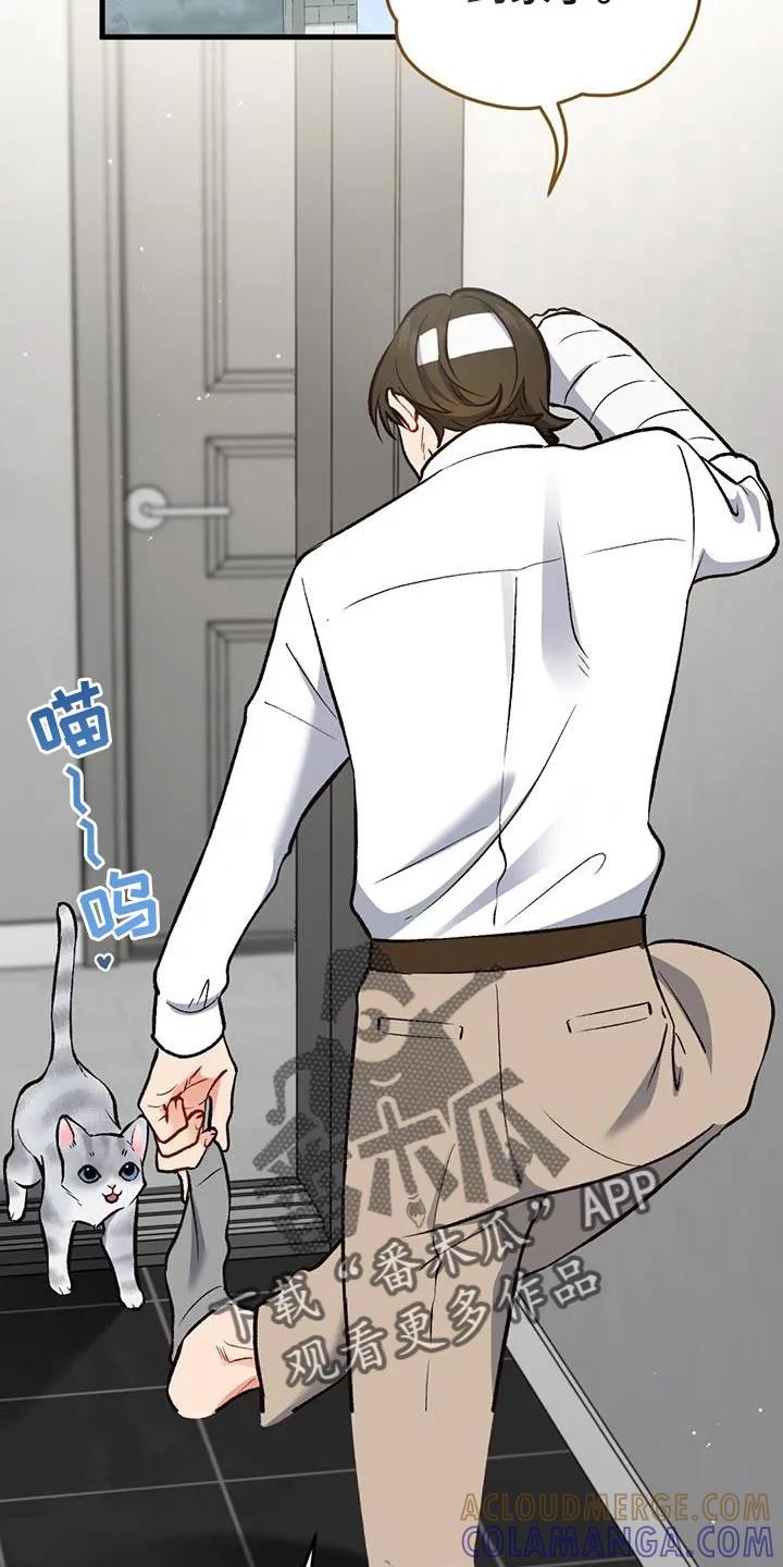 《快穿救赎》第56章：罪魁祸首 第15页
