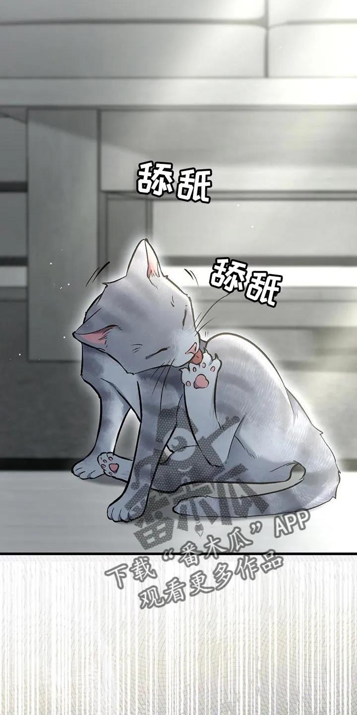 《快穿救赎》第59章：回击我的挑衅吧 第6页