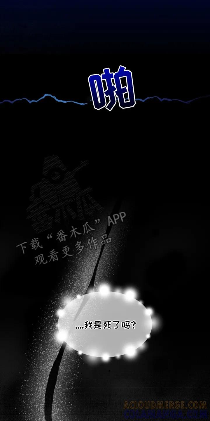 《寻找主人公》第6章：车祸 第17页