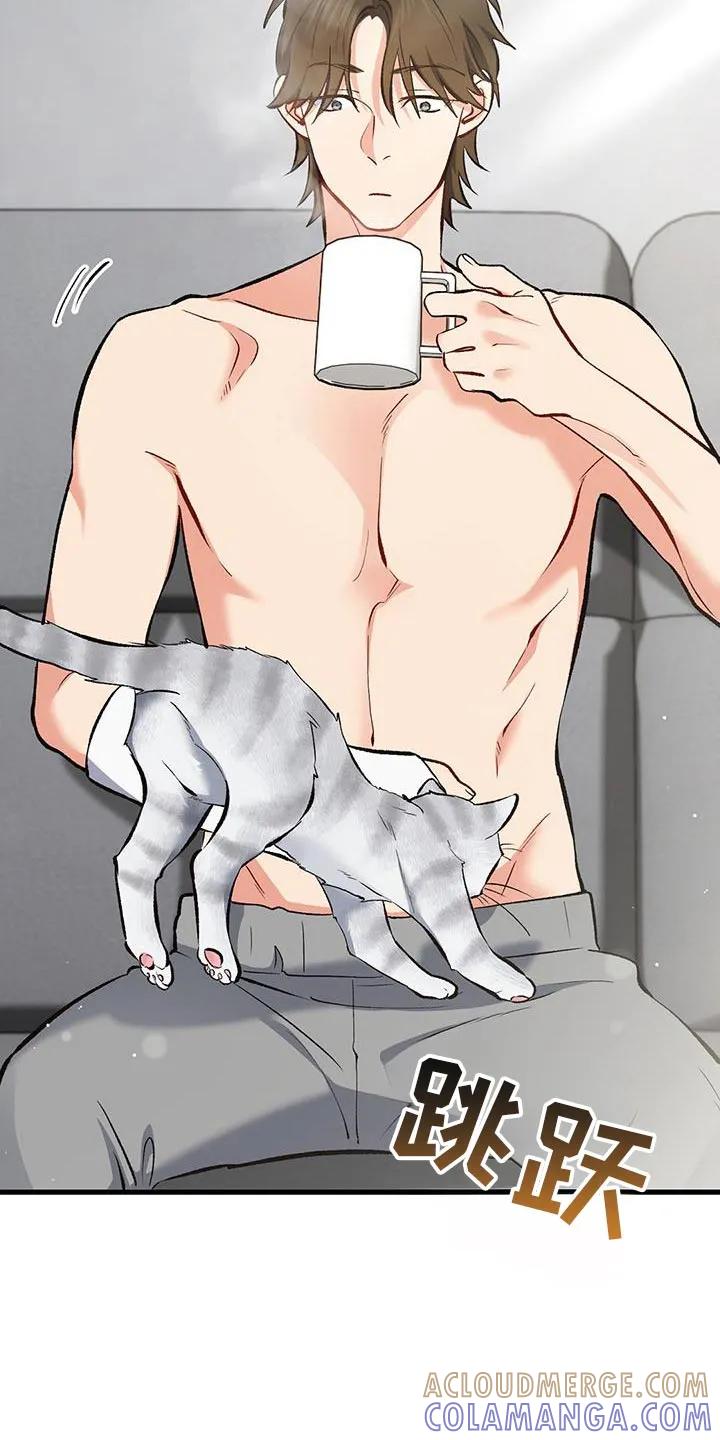 《快穿救赎》第65章：没见过的衣服 第19页