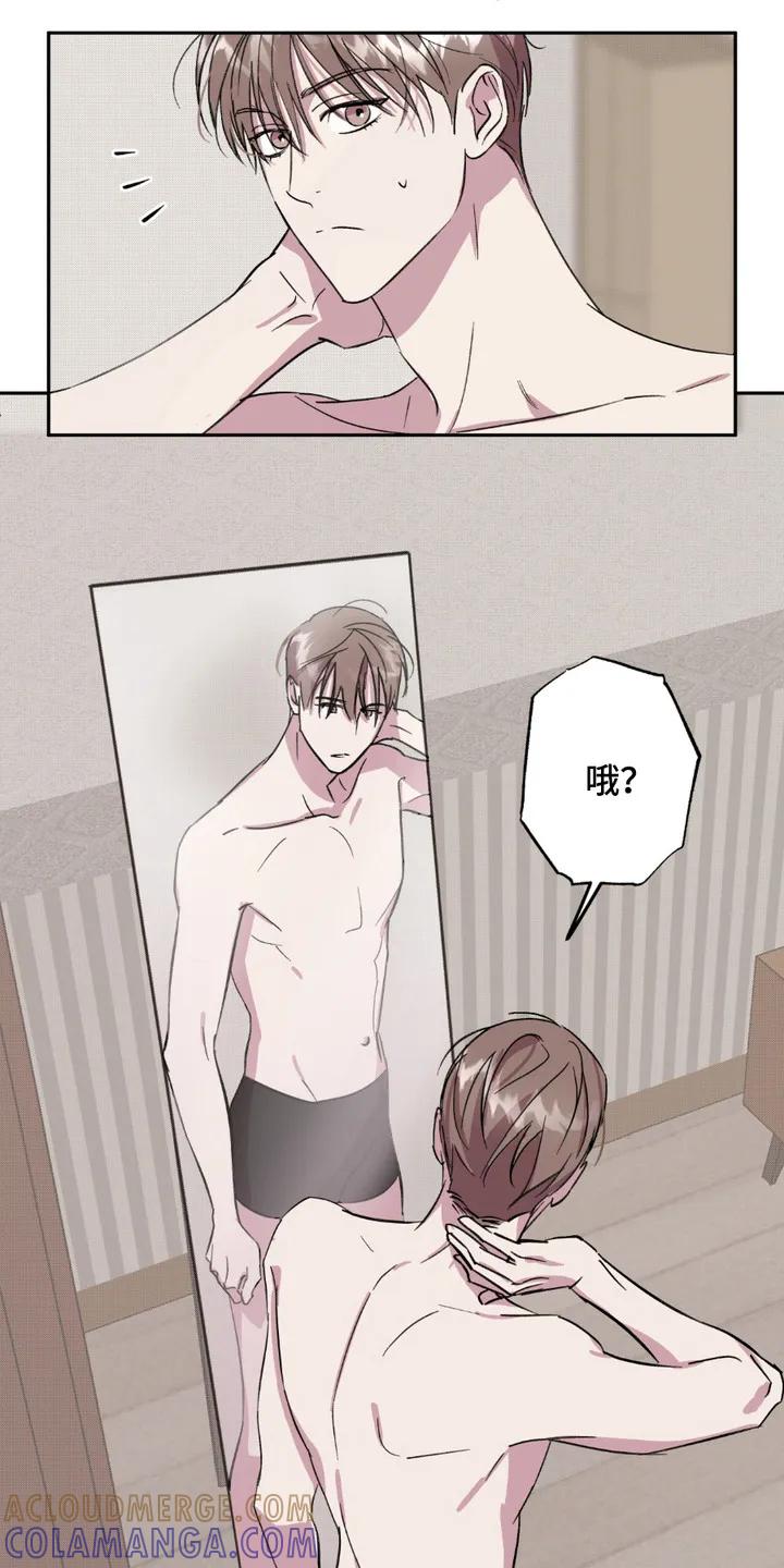 《寻找主人公》第7章：无法确认 第3页