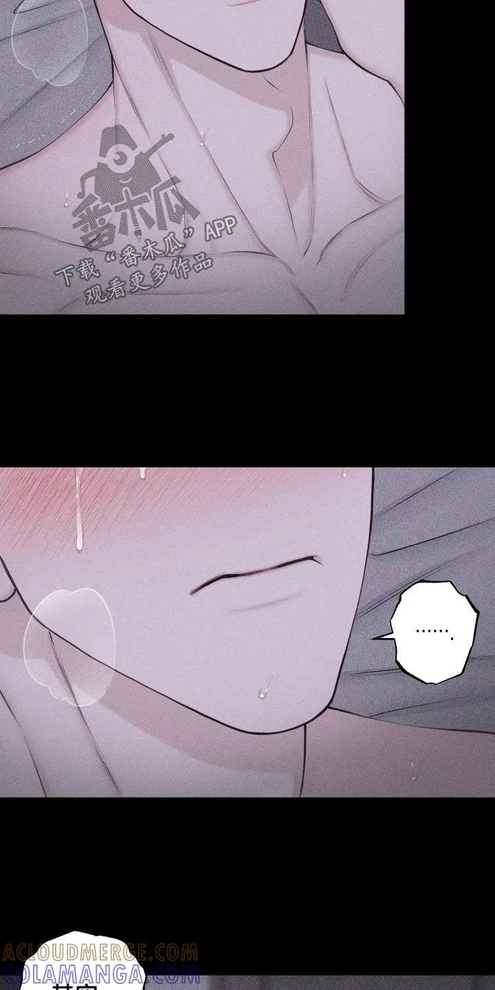 《瓷器》第137章：【第三季】太幸福了 第5页