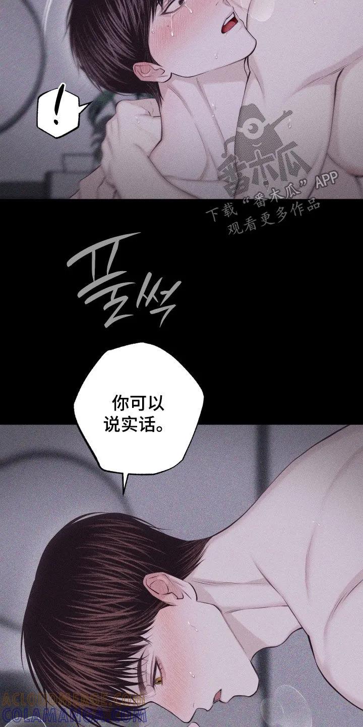 《瓷器》第137章：【第三季】太幸福了 第3页