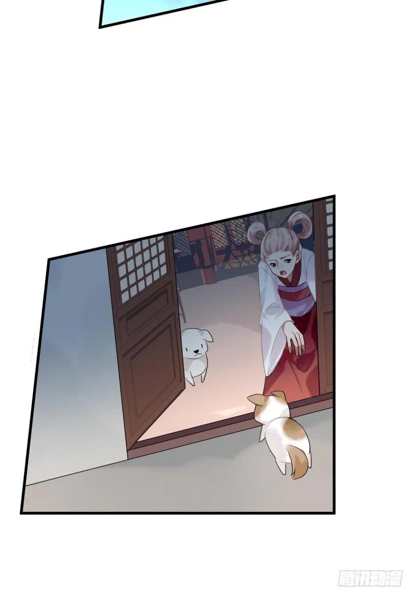 《浮云半书》白云苍狗（四） 第22页