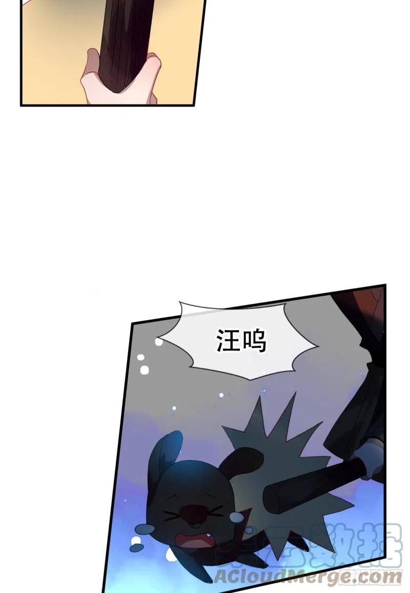 《浮云半书》白云苍狗（四） 第21页