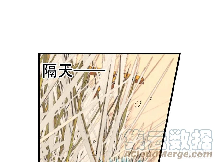 《浮云半书》对牛弹琴（八） 第13页