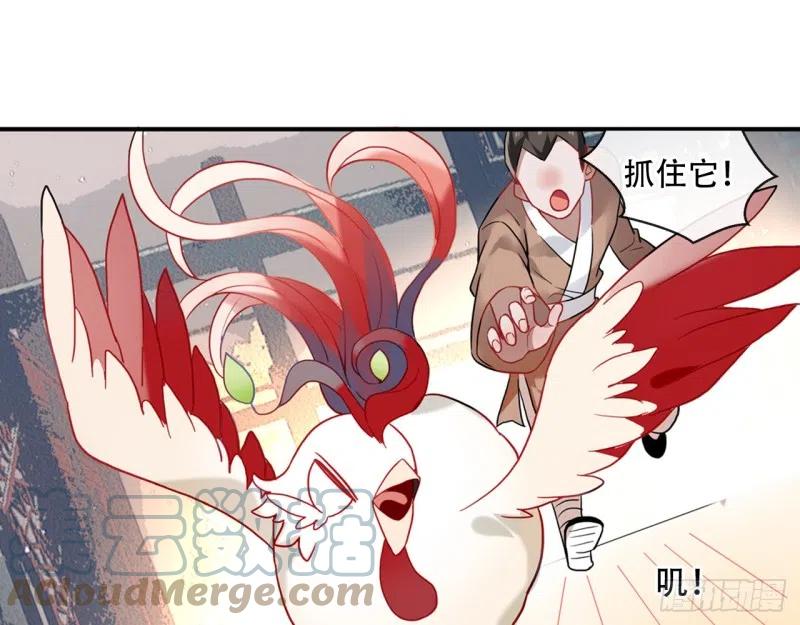 《浮云半书》闻鸡起舞（二） 第1页